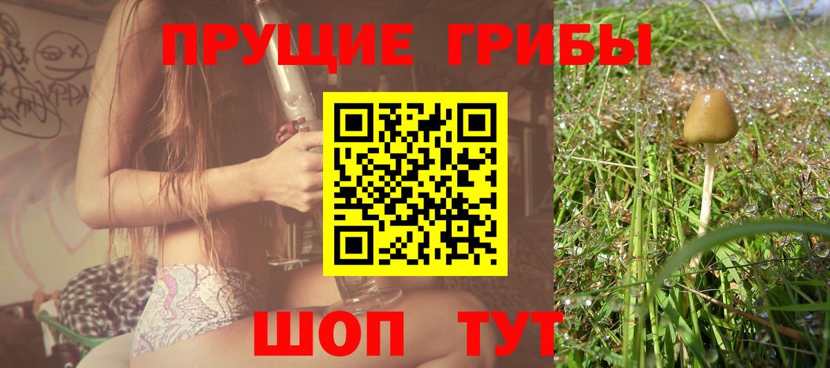 Псилоцибиновые грибы прущие грибы Малгобек