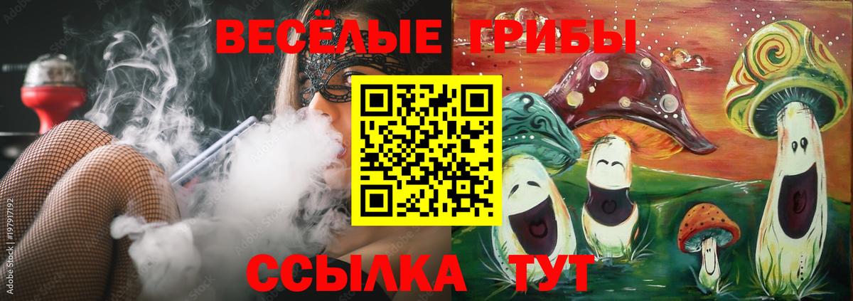 Псилоцибиновые грибы Magic Shrooms  Вход с VPN  где можно купить   Малгобек 